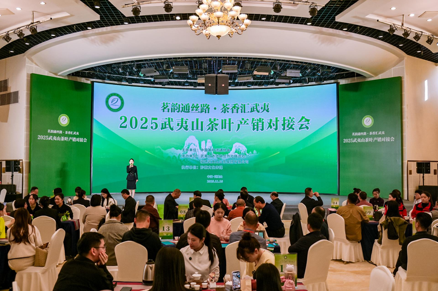 1763975671535070388.png 1763975671535070388.png